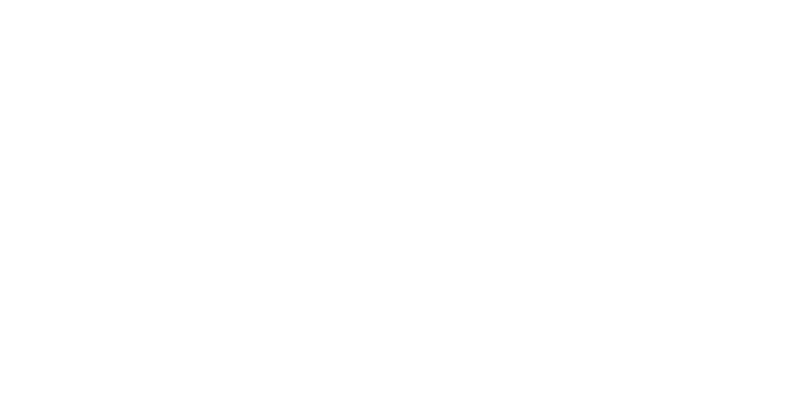 Swiss Broker & Partners